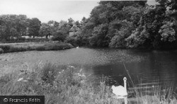 Village Pond c.1960, Ditchling