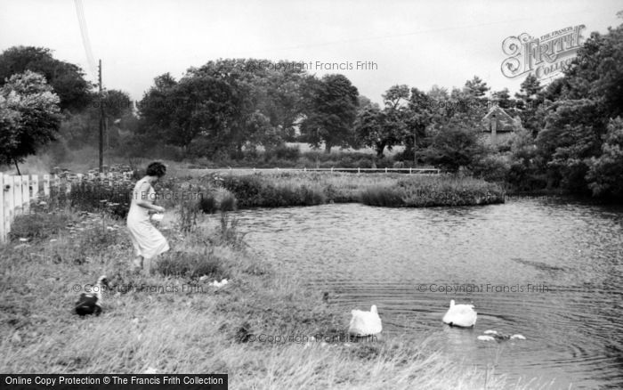 Photo of Ditchling, Village Pond c.1960