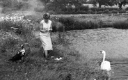 Village Pond c.1960, Ditchling