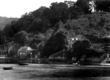 Binghay Woods And Cottage 1925, Dittisham