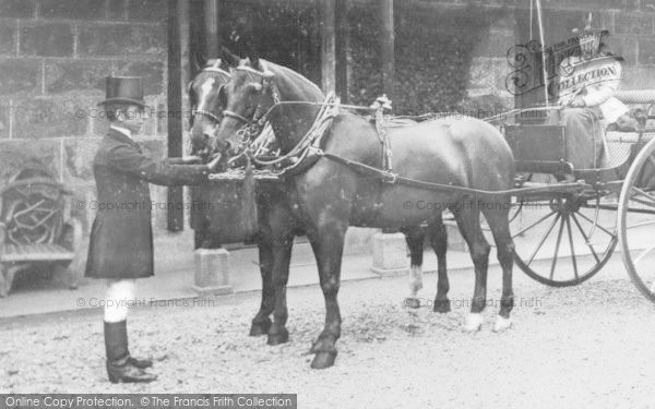 Photo of Dolgellau, Pair Of Horses At Brynhyfryd c.1900