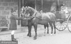 Pair Of Horses At Brynhyfryd c.1900, Dolgellau