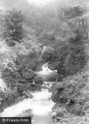 The Falls, Torrent Walk 1895, Dolgellau