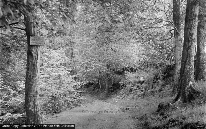 Photo of Dolgellau, The Torrent Walk 1949