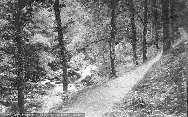 Photo of Dolgellau, Torrent Walk 1888