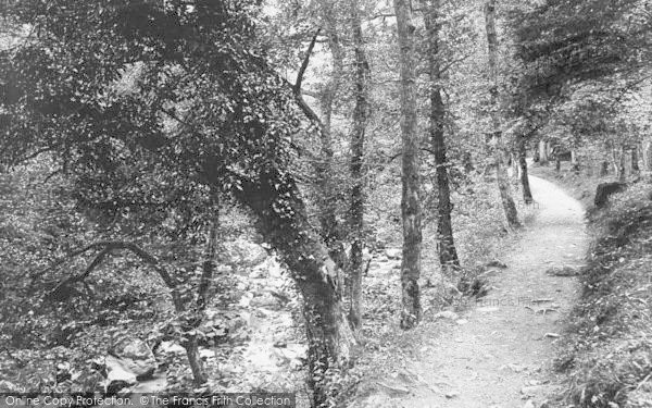 Photo of Dolgellau, Torrent Walk 1888