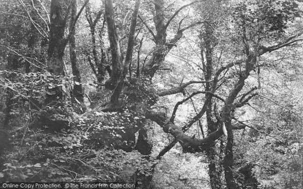 Photo of Dolgellau, Torrent Walk 1894