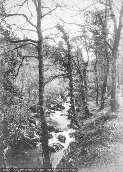 Photo of Dolgellau, Torrent Walk c.1880