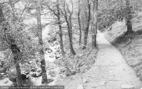 Photo of Dolgellau, View In Torrent Walk c.1880