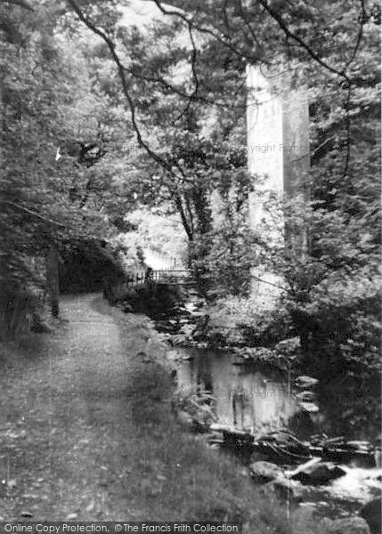Photo of Dolgoch, Tal Y Llyn Toy Railway Bridge c.1950