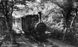 Tal-Y-Llyn Train c.1960, Dolgoch