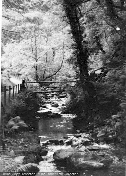 Photo of Dolgoch, The River c.1950