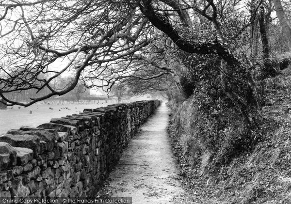 Photo of Dolphinholme, The Cinder Path c.1950