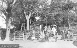 Sandall Beat Wood 1900, Doncaster