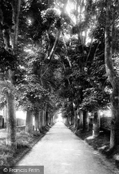 Bowling Alley Walk 1891, Dorchester