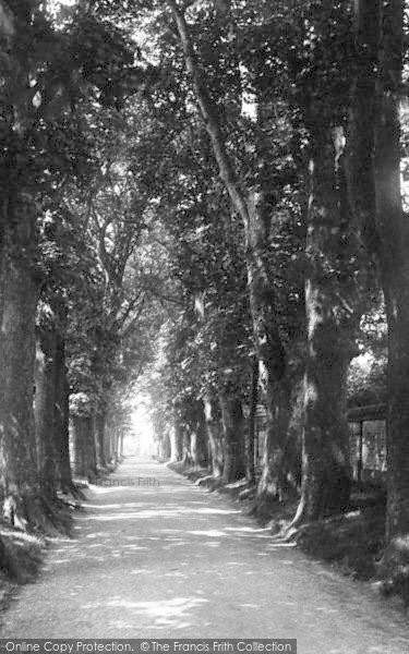 Photo of Dorchester, Bowling Alley Walk 1898