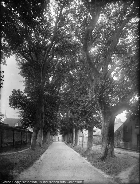 Photo of Dorchester, Bowling Green Walk 1922