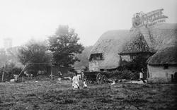 Farm Cottages 1894, Dorchester