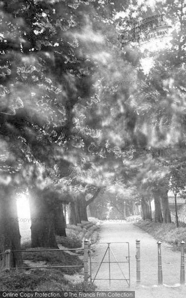 Photo of Dorchester, Salisbury Walk 1898