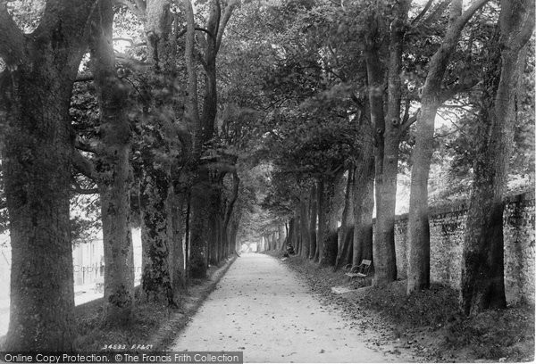 Photo of Dorchester, The Avenue 1895