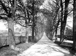 West Walks 1903, Dorchester
