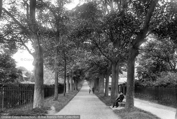 Photo of Dorchester, West Walks 1922