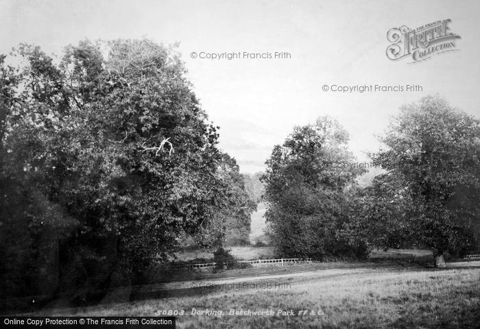 Photo of Dorking, Betchworth Park 1903