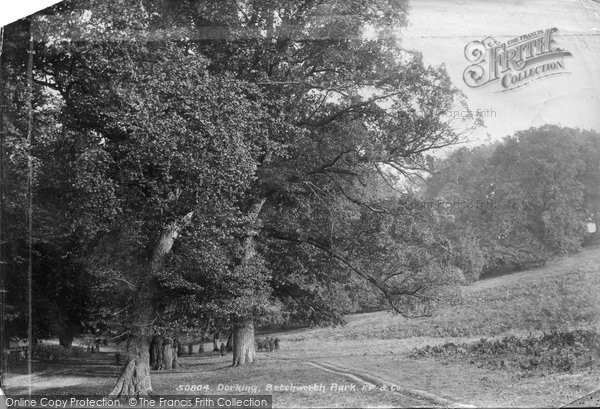 Photo of Dorking, Betchworth Park 1903 - Francis Frith