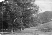 Betchworth Park 1903, Dorking