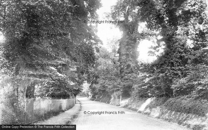 Photo of Dorking, Burford Bridge 1906