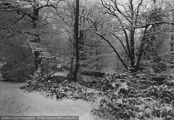 Photo of Dorking, c.1900