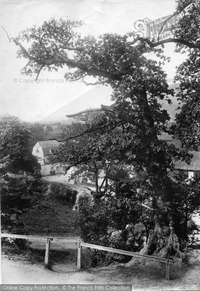 Photo of Dorking, Castle Mill 1909