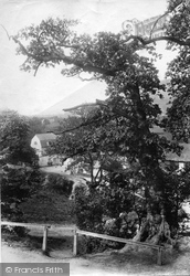 Castle Mill 1909, Dorking