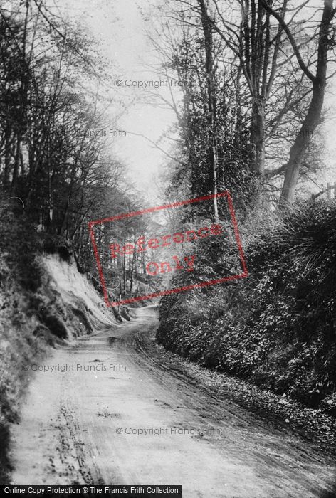Photo of Dorking, Chart Lane 1905