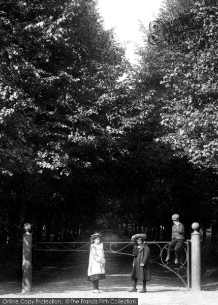 Photo of Dorking, Children At Deepdene Avenue 1906