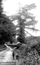 Coldharbour Lane 1907, Dorking