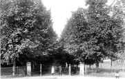 Deepdene Avenue 1906, Dorking