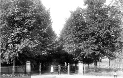 Deepdene Avenue 1906, Dorking