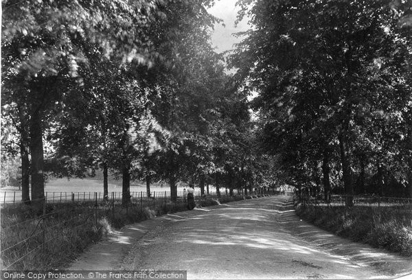 Photo of Dorking, Deepdene Avenue 1906