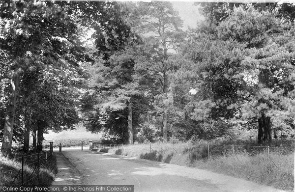 Photo of Dorking, Deepdene Avenue 1906 - Francis Frith