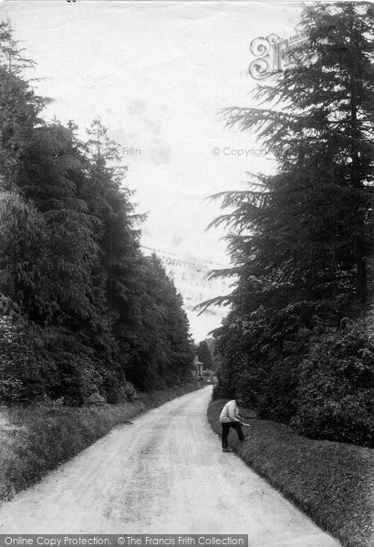 Photo of Dorking, Denbies Drive 1907