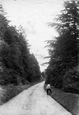 Denbies Drive 1907, Dorking