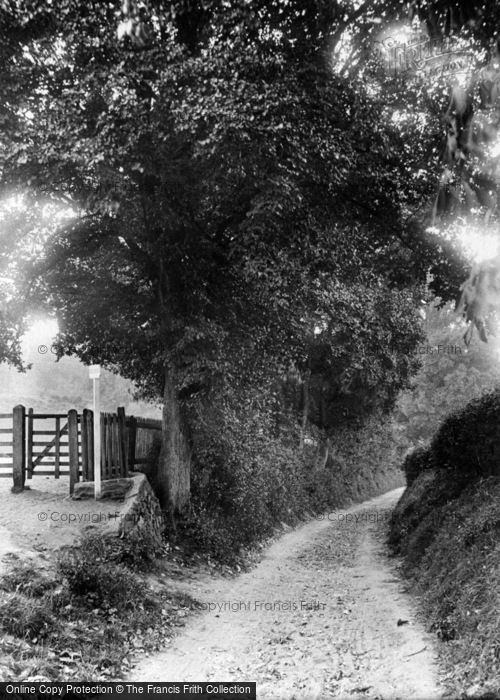 Photo of Dorking, Entrance To The Nower 1912