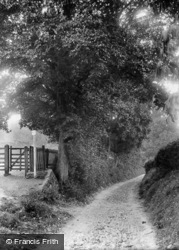 Entrance To The Nower 1912, Dorking