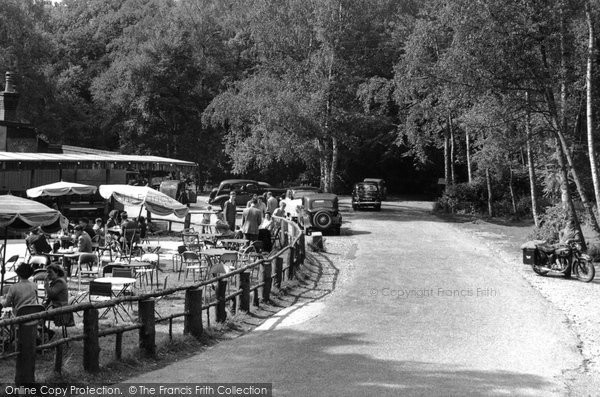 Photo of Dorking, Fort Tea Gardens c.1955