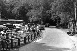 Fort Tea Gardens c.1955, Dorking