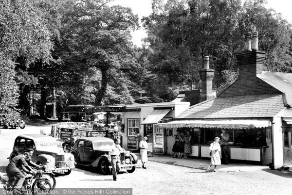 Photo of Dorking, Fort Tea Gardens c.1955