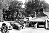 Fort Tea Gardens c.1955, Dorking