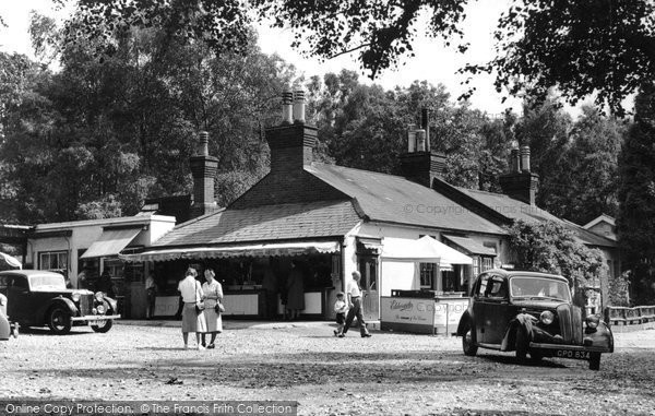 Photo of Dorking, Fort Tea Gardens c.1955