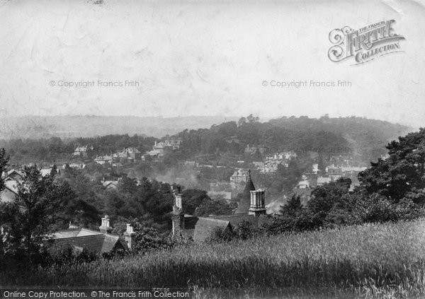 Photo of Dorking, From Glory Woods 1906